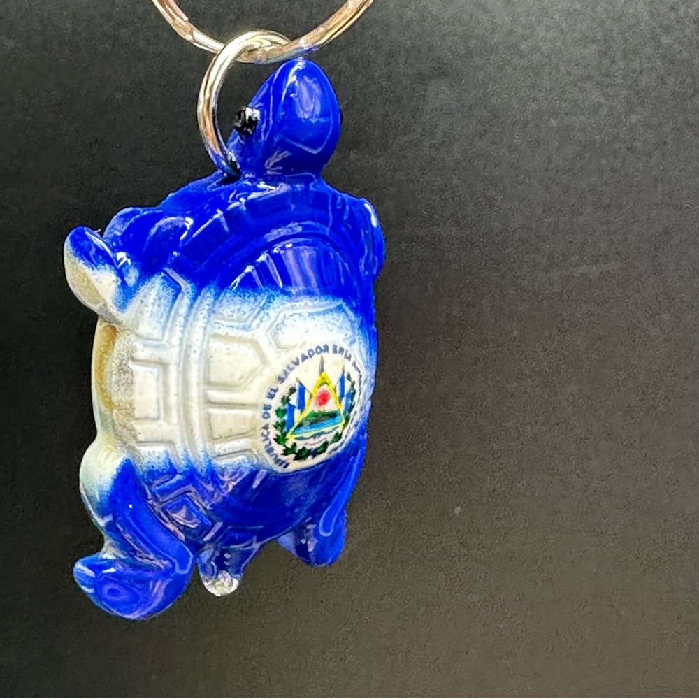 Colorful Turtle Keychains - Picture 7 of 16